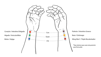 Topografia del pulso